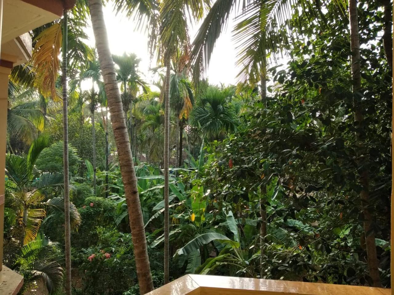 Indraprasth Apartment Palolem Buitenkant foto